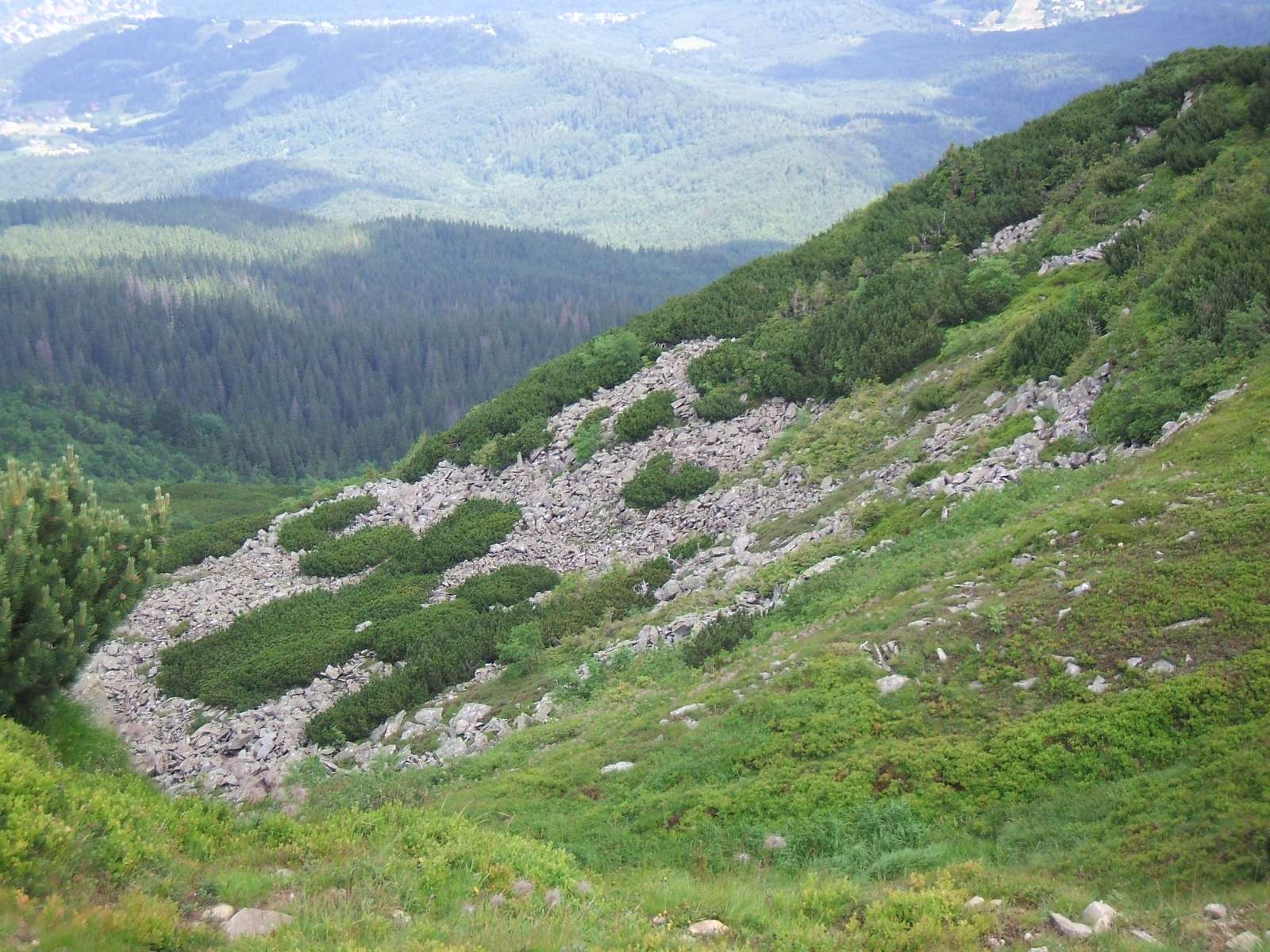 Babia Gora